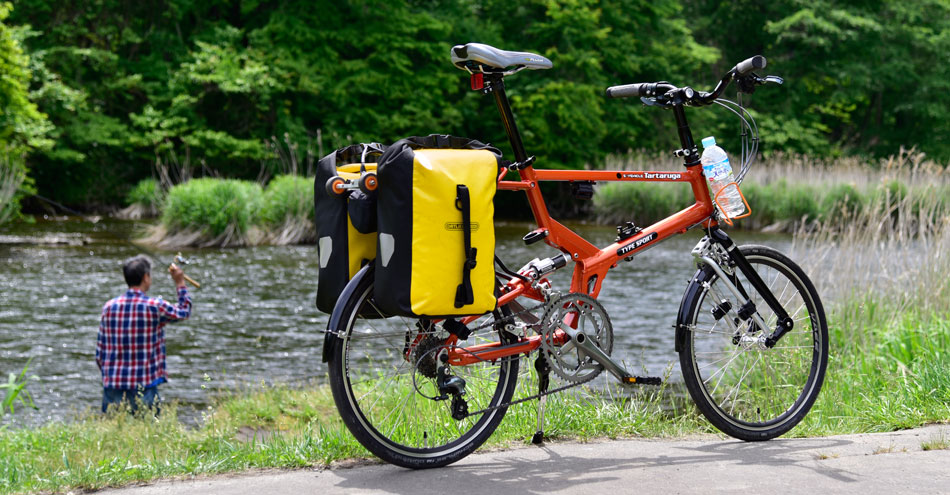 pacific bike carrier