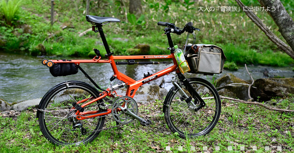Tartaruga Type SPORT ver.1.5