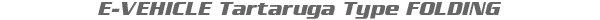 Tartaruga Type FOLDING logo